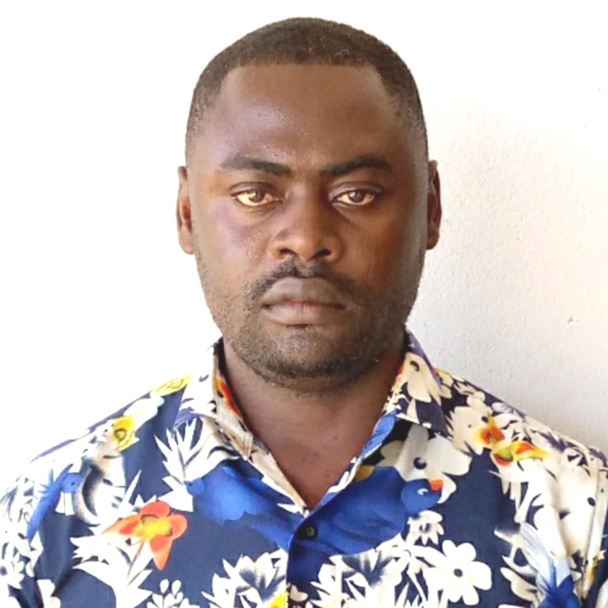 BISSONG KELVIN profiole picture